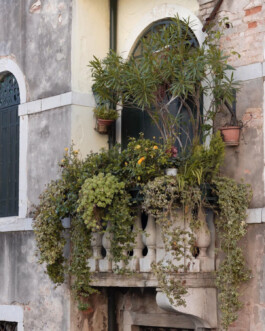 Giacomo Dal Pr&agrave;